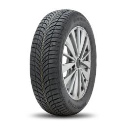 Roadstone Winguard SnowG WH2 215/70R16 100T