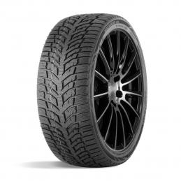 Doublestar Winterking DW08 195/65R15 91T